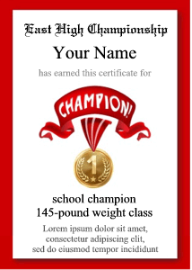 wrestling certificate for kids